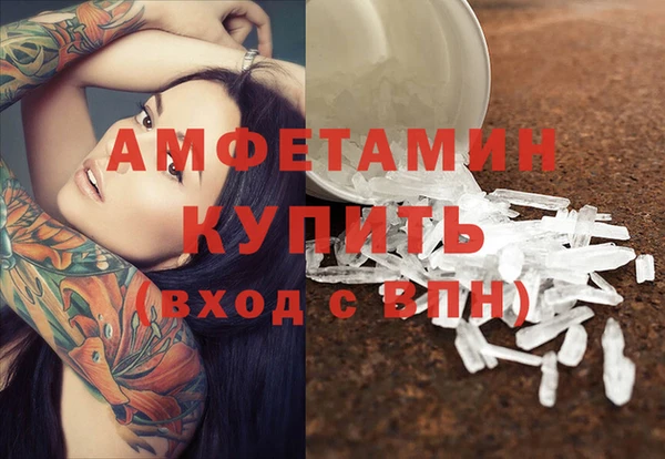 сатива Алзамай