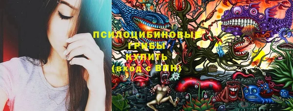 индика Алексин