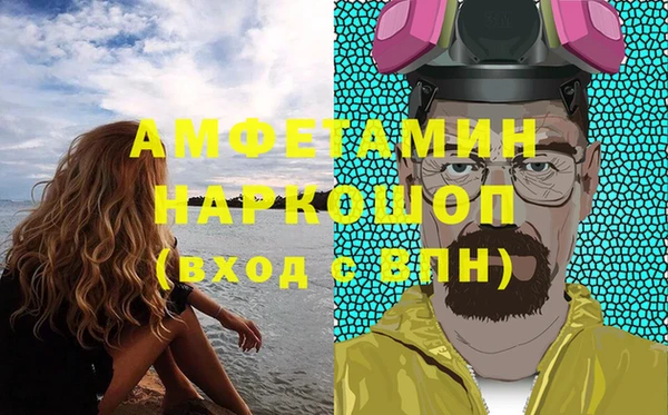 индика Алексин