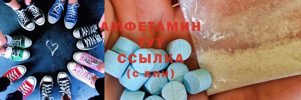 индика Алексин